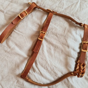 Sicherheits Ledergeschirr Hundegeschirr Leder Lisbeth Pine