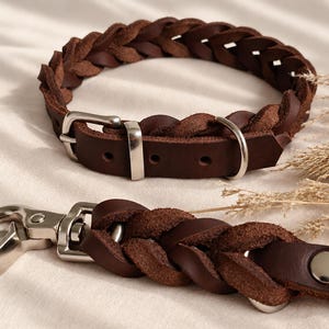 Peut inclure: Un collier et une laisse assortie en cuir tress&eacute; marron fonc&eacute;. Le collier est dot&eacute; d'une boucle et d'un anneau en m&eacute;tal argent&eacute;. La laisse comprend un mousqueton pivotant en m&eacute;tal argent&eacute; et une extr&eacute;mit&eacute; en cuir lisse fix&eacute;e par un rivet.