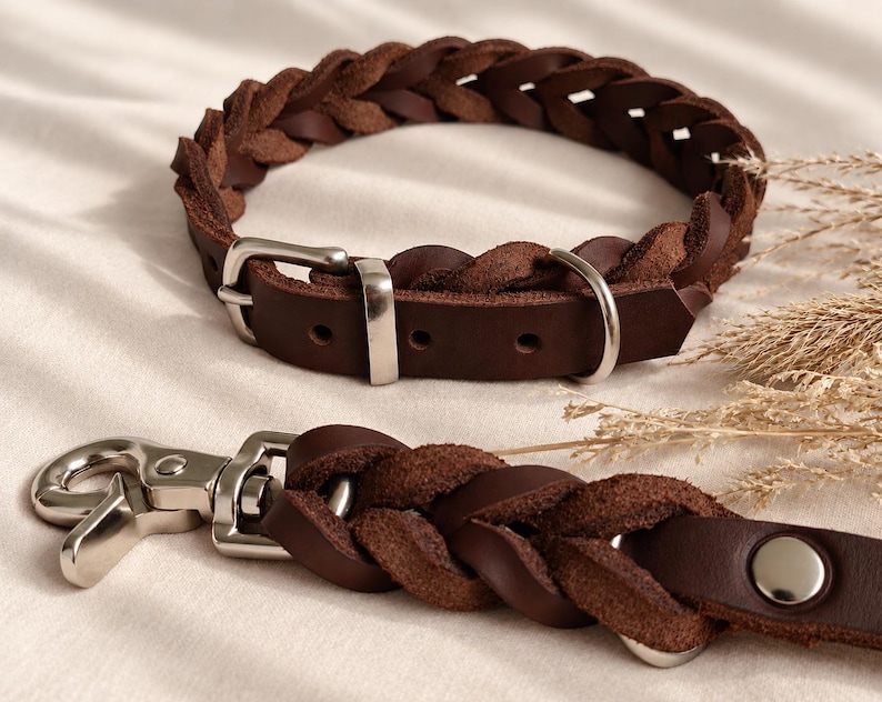 Peut inclure: Un collier et une laisse assortie en cuir tress&eacute; marron fonc&eacute;. Le collier est dot&eacute; d'une boucle et d'un anneau en m&eacute;tal argent&eacute;. La laisse comprend un mousqueton pivotant en m&eacute;tal argent&eacute; et une extr&eacute;mit&eacute; en cuir lisse fix&eacute;e par un rivet.