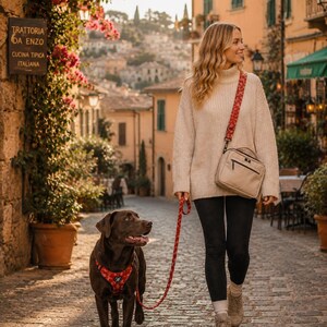May include: A chocolate brown Labrador retriever wearing a red harness with a white floral pattern, attached to a matching red floral leash. The leash is connected to a beige crossbody bag with a matching red floral strap, worn over a beige sweater.