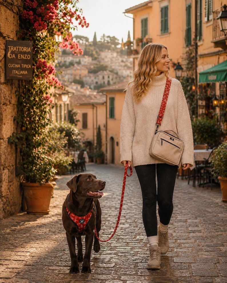 May include: A chocolate brown Labrador retriever wearing a red harness with a white floral pattern, attached to a matching red floral leash. The leash is connected to a beige crossbody bag with a matching red floral strap, worn over a beige sweater.