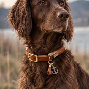 Op de afbeelding: Een bruine hond draagt een halsband van beige touw en bruin leer met een koperen gesp. De halsband is voorzien van een bedel bestaande uit een klein bruin leren kwastje en een zilverkleurige hanger in de vorm van een anker.