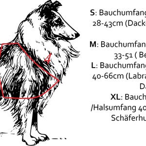 May include: A black and white line drawing of a long-haired dog wearing a red harness outline. Text lists sizing in centimeters for S, M, L, and XL, including belly and neck measurements for various dog breeds like Beagle, Labrador, and Husky.