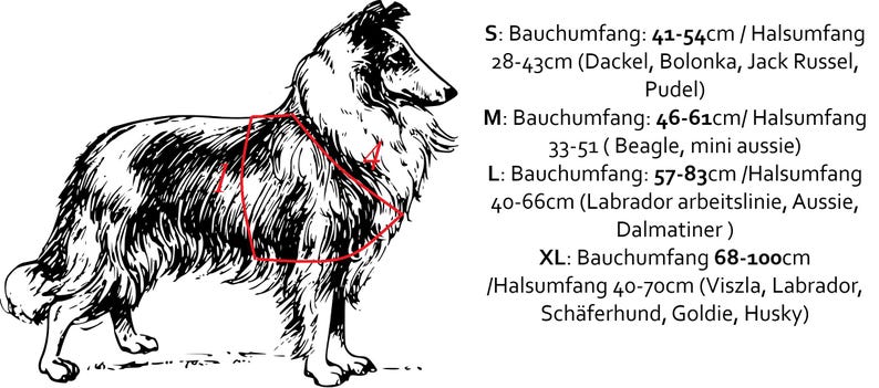 May include: A black and white line drawing of a long-haired dog wearing a red harness outline. Text lists sizing in centimeters for S, M, L, and XL, including belly and neck measurements for various dog breeds like Beagle, Labrador, and Husky.