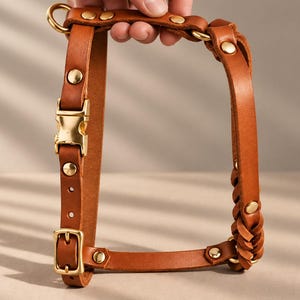 May include: A tan leather dog harness featuring gold-toned metal hardware, including a side-release buckle, a traditional pin buckle, and circular rivets. One side of the harness displays a braided leather detail, while the other side is smooth.