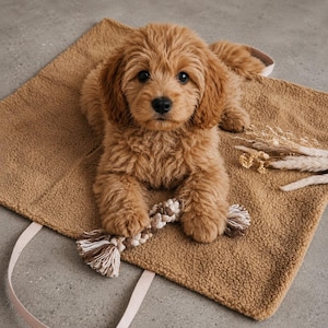Puede incluir: Un cachorro de pelaje marrón dorado y esponjoso tumbado sobre una alfombra texturizada de color tostado, con un juguete de cuerda trenzada entre sus patas delanteras. El cachorro tiene ojos oscuros y nariz negra. Hay hierbas secas al lado.