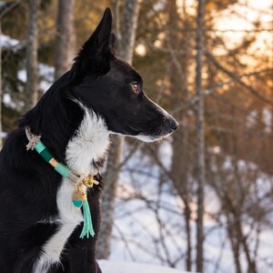 May include: A dog collar featuring a combination of light teal and dark green cord wrapping, accented with gold-toned metal hardware and a matching light teal tassel charm hanging from a central ring, worn around the neck of a black and white dog.