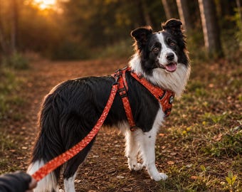 Hundegeschirr No Pull mit Muster Cognac Soft Harness Hund Neopren reflektierendes HundegeschirrSet mit Leine & Halsband Hundegeschirr bequem