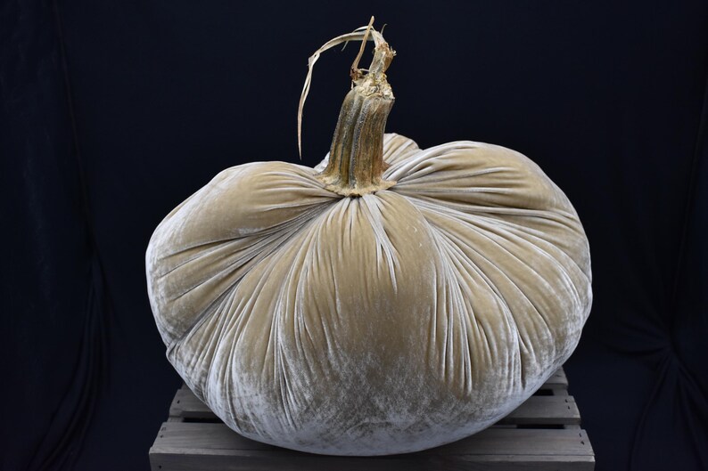 Zucca gigante in velluto: centrotavola autunnale, decorazione in stile rustico immagine 4
