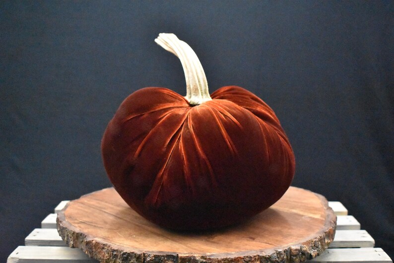Grote fluwelen pompoen: herfstdecoratie voor Thanksgiving, bruiloft en huisdecoratie Burnt Orange