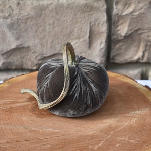 Velvet Pumpkins: Fall Thanksgiving Decor with Real Stems