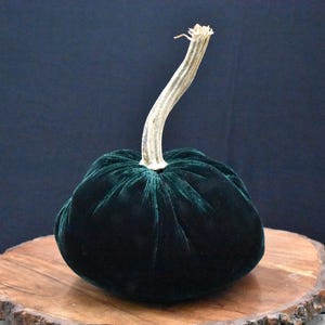 Grote fluwelen pompoen: herfstdecoratie voor Thanksgiving, bruiloft en huisdecoratie Hunter Green