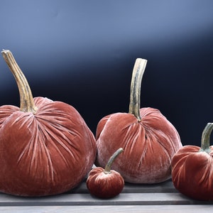 Velvet Pumpkins Ex Large Cutiekins, with a real pumpkin stems, Thanksgiving,Wedding Decor,Mantle Decor,fall decor, cozy home gifts
