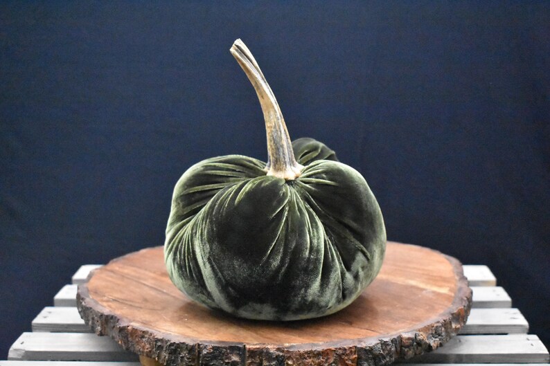 Grote fluwelen pompoen: herfstdecoratie voor Thanksgiving, bruiloft en huisdecoratie afbeelding 18