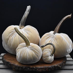 Zucca gigante in velluto: centrotavola autunnale, decorazione in stile rustico Cream