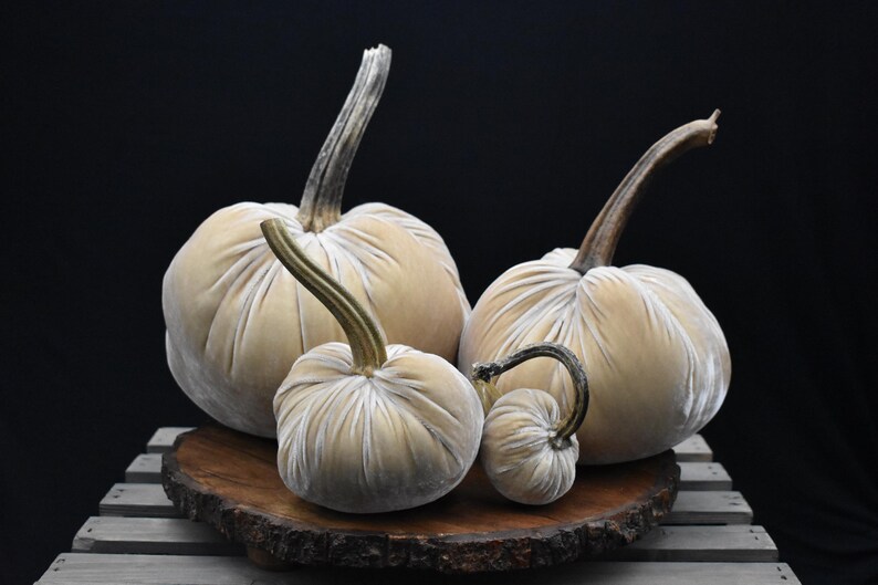Zucca gigante in velluto: centrotavola autunnale, decorazione in stile rustico Cream