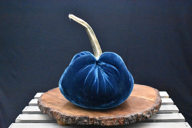 Grote fluwelen pompoen: herfstdecoratie voor Thanksgiving, bruiloft en huisdecoratie Ocean