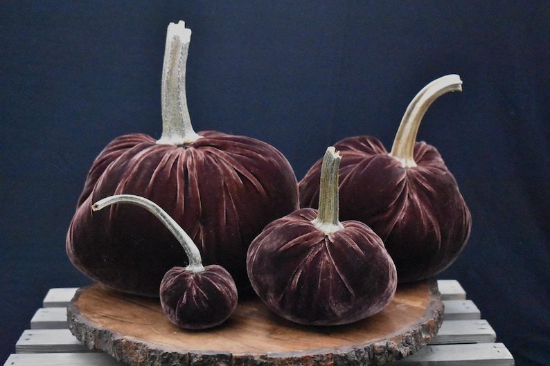 Zucca gigante in velluto: centrotavola autunnale, decorazione in stile rustico Expresso