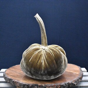 Grote fluwelen pompoen: herfstdecoratie voor Thanksgiving, bruiloft en huisdecoratie Saddlewood
