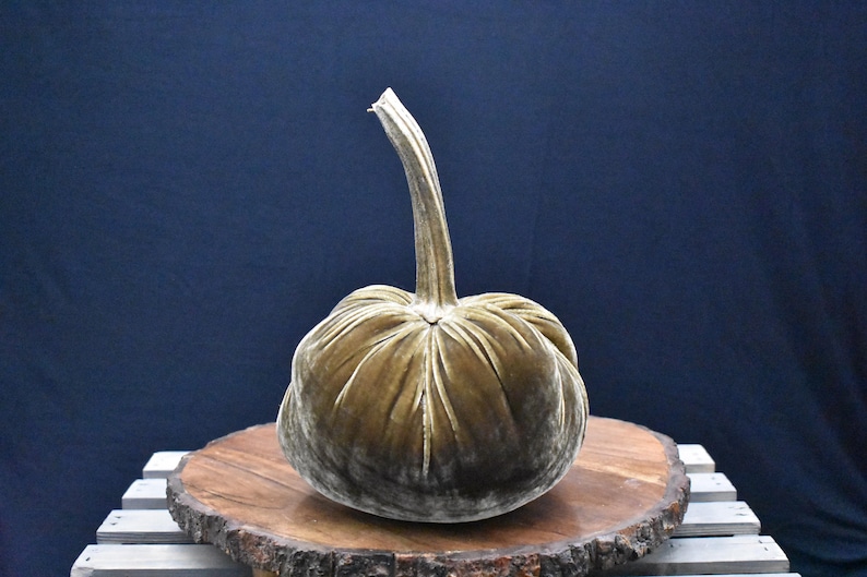 Grote fluwelen pompoen: herfstdecoratie voor Thanksgiving, bruiloft en huisdecoratie Saddlewood