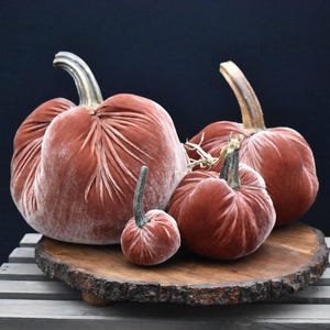 Zucca gigante in velluto: centrotavola autunnale, decorazione in stile rustico Apricot