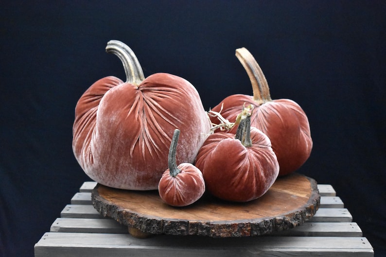 Zucca gigante in velluto: centrotavola autunnale, decorazione in stile rustico Apricot