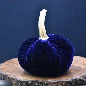 Grote fluwelen pompoen: herfstdecoratie voor Thanksgiving, bruiloft en huisdecoratie afbeelding 14