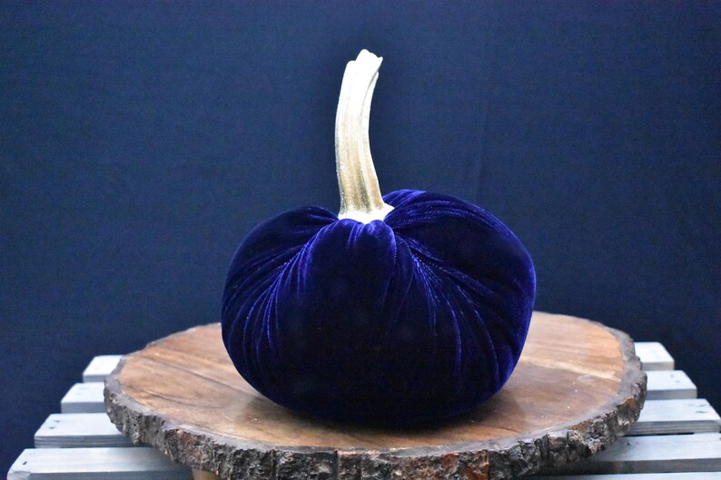 Grote fluwelen pompoen: herfstdecoratie voor Thanksgiving, bruiloft en huisdecoratie afbeelding 14