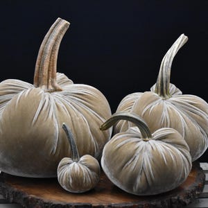 Zucca gigante in velluto: centrotavola autunnale, decorazione in stile rustico Latte