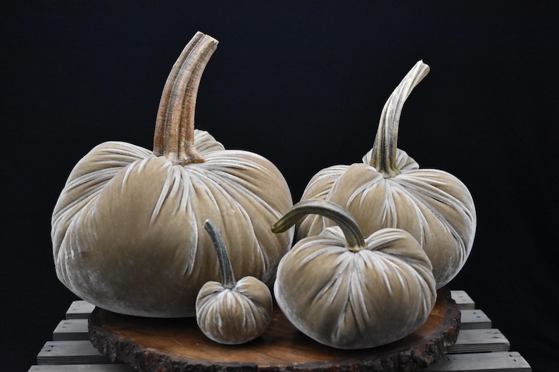 Zucca gigante in velluto: centrotavola autunnale, decorazione in stile rustico Latte