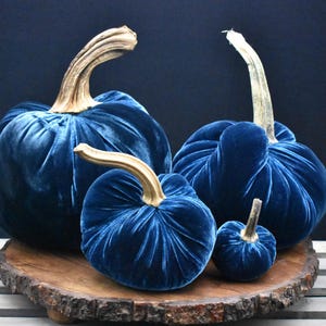 Zucca gigante in velluto: centrotavola autunnale, decorazione in stile rustico Ocean