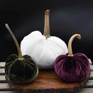 Velvet Pumpkins Cutiekins Displays & Groups
