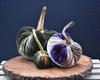 Fluwelen pompoenen Cutiekins-displays en -groepen