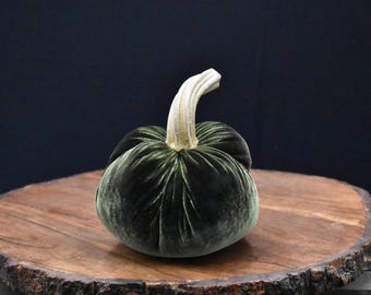 Zucca media in velluto - Cutiekins, con vero gambo di zucca. Autunno, Ringraziamento