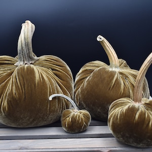 Velvet Pumpkins, Sandlewood , Real Pumpkin Stems ,Thanksgiving, fall decor, home gifts, wedding