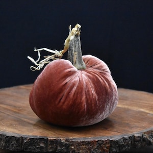 Peut inclure: Une citrouille en velours rose poudré avec une tige texturée d'aspect naturel. Le tissu est froncé pour créer des crêtes verticales profondes autour du corps de la citrouille, lui donnant un aspect doux et moelleux. La tige est brune et ligneuse.