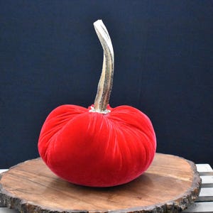 Grote fluwelen pompoen: herfstdecoratie voor Thanksgiving, bruiloft en huisdecoratie Cherry