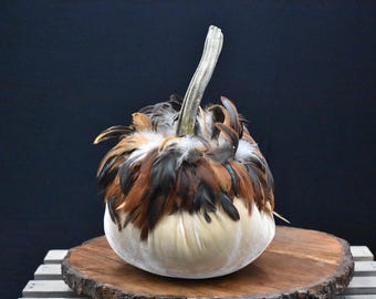 Piume di zucca in velluto: decorazioni autunnali per il Giorno del Ringraziamento