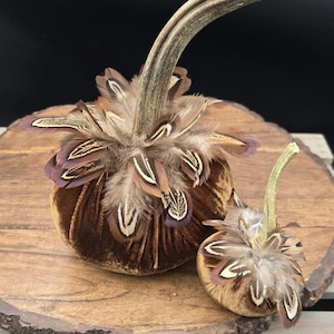 Velvet Pumpkin with Real Stem & Feathers: Fall Thanksgiving Decor