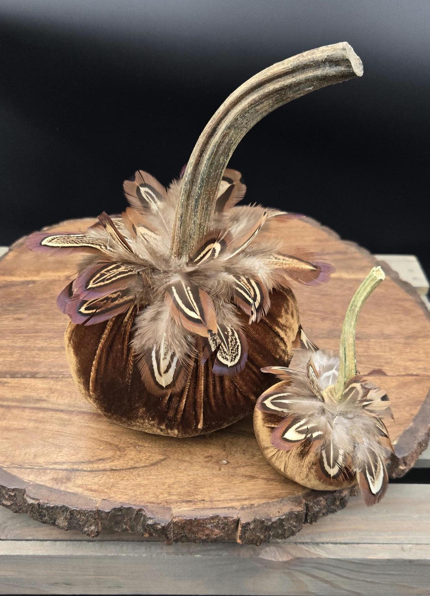 Velvet Pumpkin with Real Stem & Feathers: Fall Thanksgiving Decor