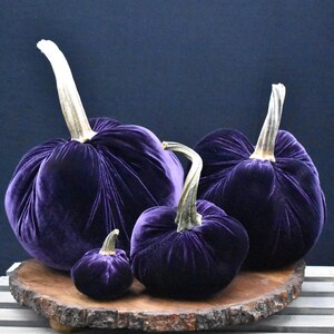 Zucca gigante in velluto: centrotavola autunnale, decorazione in stile rustico Plum