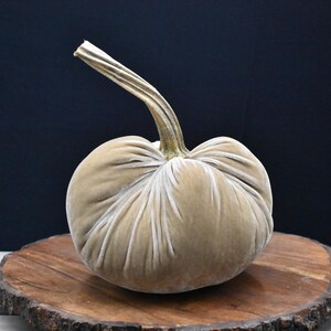 Grote fluwelen pompoen: herfstdecoratie voor Thanksgiving, bruiloft en huisdecoratie afbeelding 13