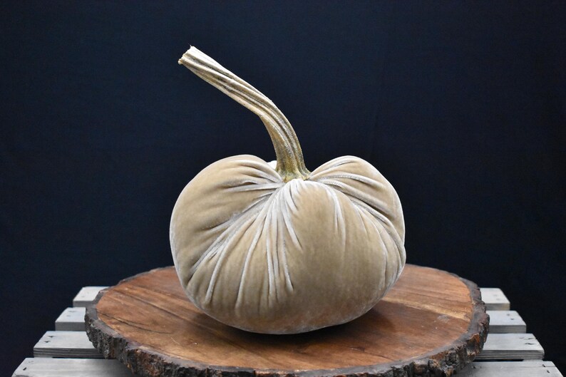 Grote fluwelen pompoen: herfstdecoratie voor Thanksgiving, bruiloft en huisdecoratie afbeelding 13