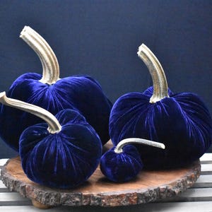 Zucca gigante in velluto: centrotavola autunnale, decorazione in stile rustico Navy