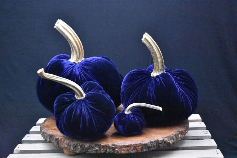 Zucca gigante in velluto: centrotavola autunnale, decorazione in stile rustico Navy