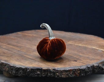 Zucche di velluto piccole, Cutiekins, autunno, Ringraziamento, veri gambi di zucca
