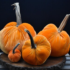 Zucca gigante in velluto: centrotavola autunnale, decorazione in stile rustico Pumpkin Org