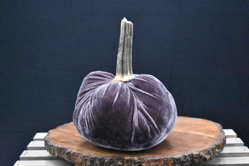 Grote fluwelen pompoen: herfstdecoratie voor Thanksgiving, bruiloft en huisdecoratie Eggplant