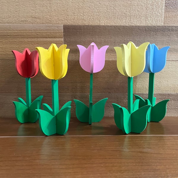 3D Wooden Spring Tulip