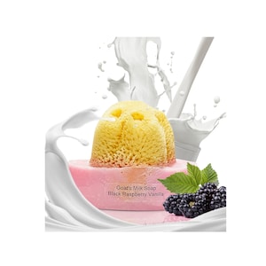 May include: A pink and yellow goat's milk soap bar with a loofah on top. The soap is surrounded by milk and a blackberry. The soap label reads "Goat's Milk Soap Black Raspberry Vanilla."